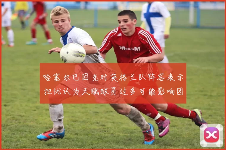 哈塞尔巴因克对英格兰队阵容表示担忧认为天赋球员过多可能影响团队合作