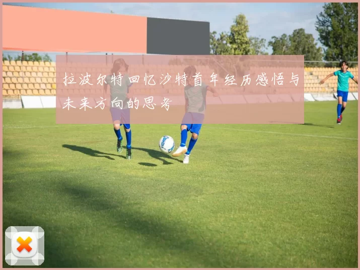 拉波尔特回忆沙特首年经历感悟与未来方向的思考