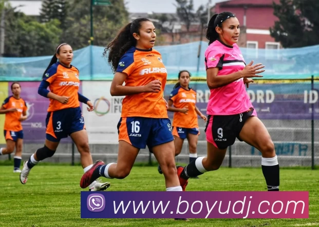 博鱼电竞APP 高清赛事图